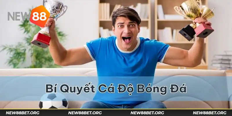 Các kinh nghiệm cá độ bóng đá chuyên nghiệp tại New88