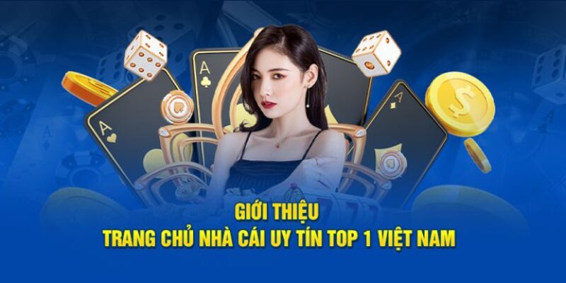 Vài thông tin cơ bản về Nhà Cái Uy Tín