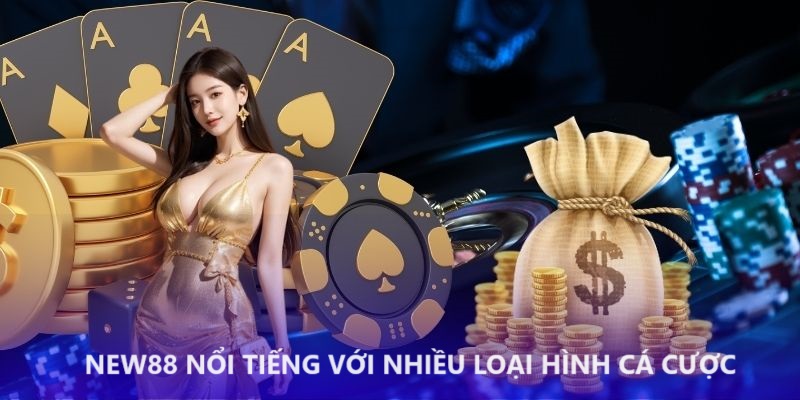 Nhiều sự lựa chọn khi giải trí tại New88