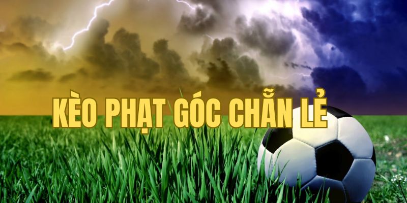 Kèo chẵn lẻ trong phạt góc