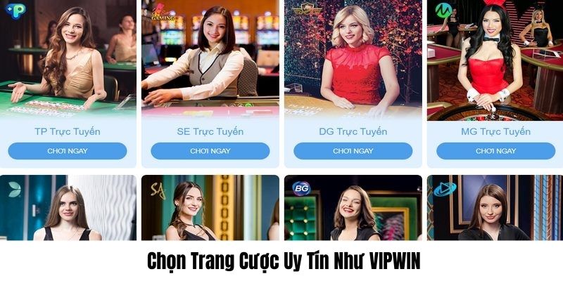 Lựa chọn nhà cái tin cậy như VIPWIN