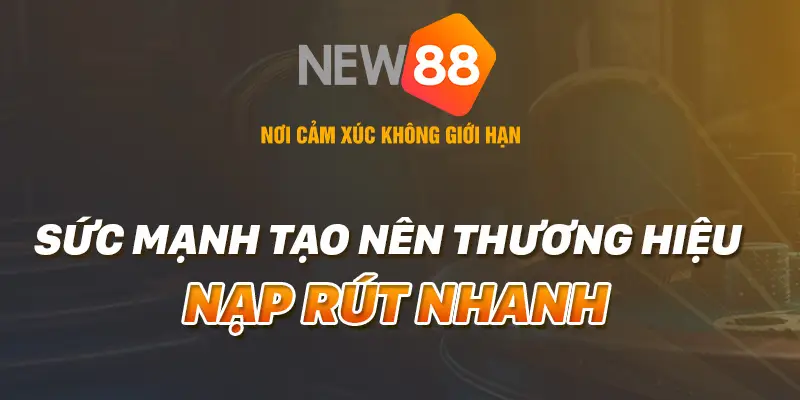 Giới thiệu về Nhà cái New88